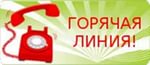 Для начинающих водителей открыли горячую линию