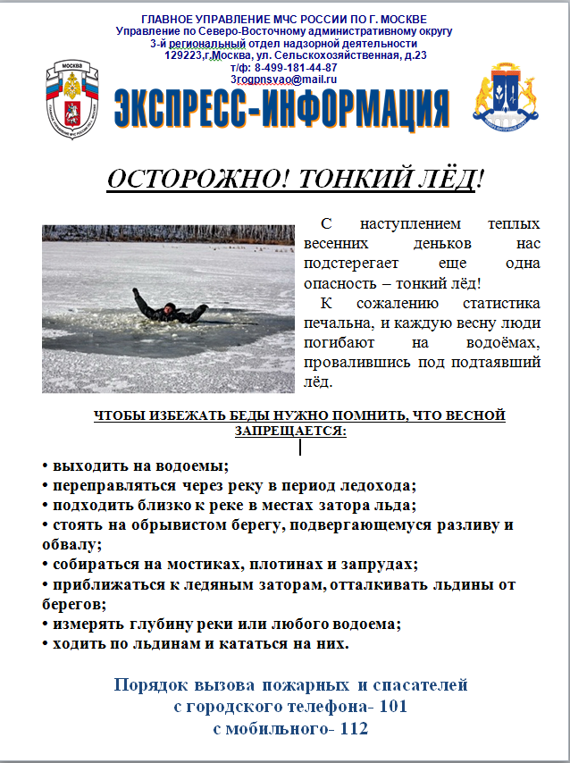 тонкий лед с текстом.png