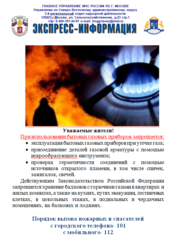 Газз.png