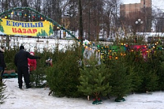 В Москве открылись ёлочные базары