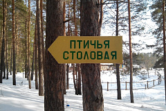 Птичья столовая будет открыта в парке "Сокольники" 