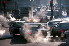 Жители Москвы считают автотранспорт главной угрозой для экологии города